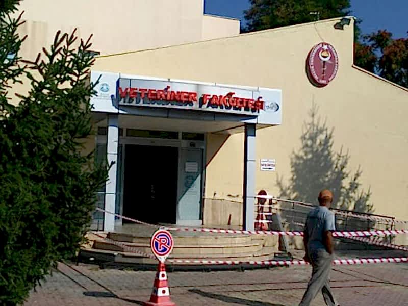 Konya Temizlik Şirketi